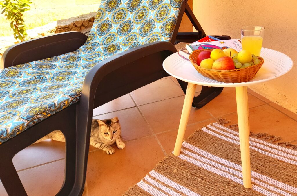 Casa Mirto - Terasse hinten mit Katze